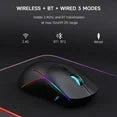 FFN Wireless Gaming Mouse,Colorful 9 Backlight,16000 DPI,75H Battery Standby,3 Mode USB-C/2.4G/Dual Bluetooth 5.0 Portable Rechargeable Gaming Mice for PC/PS5/Mac Computer and Laptop/Tablet-Black