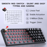 FFN 68-Key 60% Mechanical Gaming Keyboard with Red Switches-Compact Design with Detachable Type-C Cable,LED Backlit for Gaming Smooth,Compatible with Win/Mac/Linux/PC/Laptop-Black
