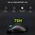 FFN Wireless Gaming Mouse,Colorful 9 Backlight,16000 DPI,75H Battery Standby,3 Mode USB-C/2.4G/Dual Bluetooth 5.0 Portable Rechargeable Gaming Mice for PC/PS5/Mac Computer and Laptop/Tablet-Black
