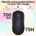 FFN Wireless Gaming Mouse,Colorful 9 Backlight,16000 DPI,75H Battery Standby,3 Mode USB-C/2.4G/Dual Bluetooth 5.0 Portable Rechargeable Gaming Mice for PC/PS5/Mac Computer and Laptop/Tablet-Black